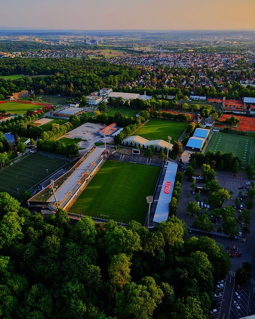 并逐渐成为 并逐渐成为